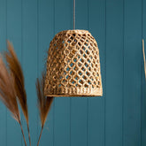 Lamp Locus — Water Hyacinth