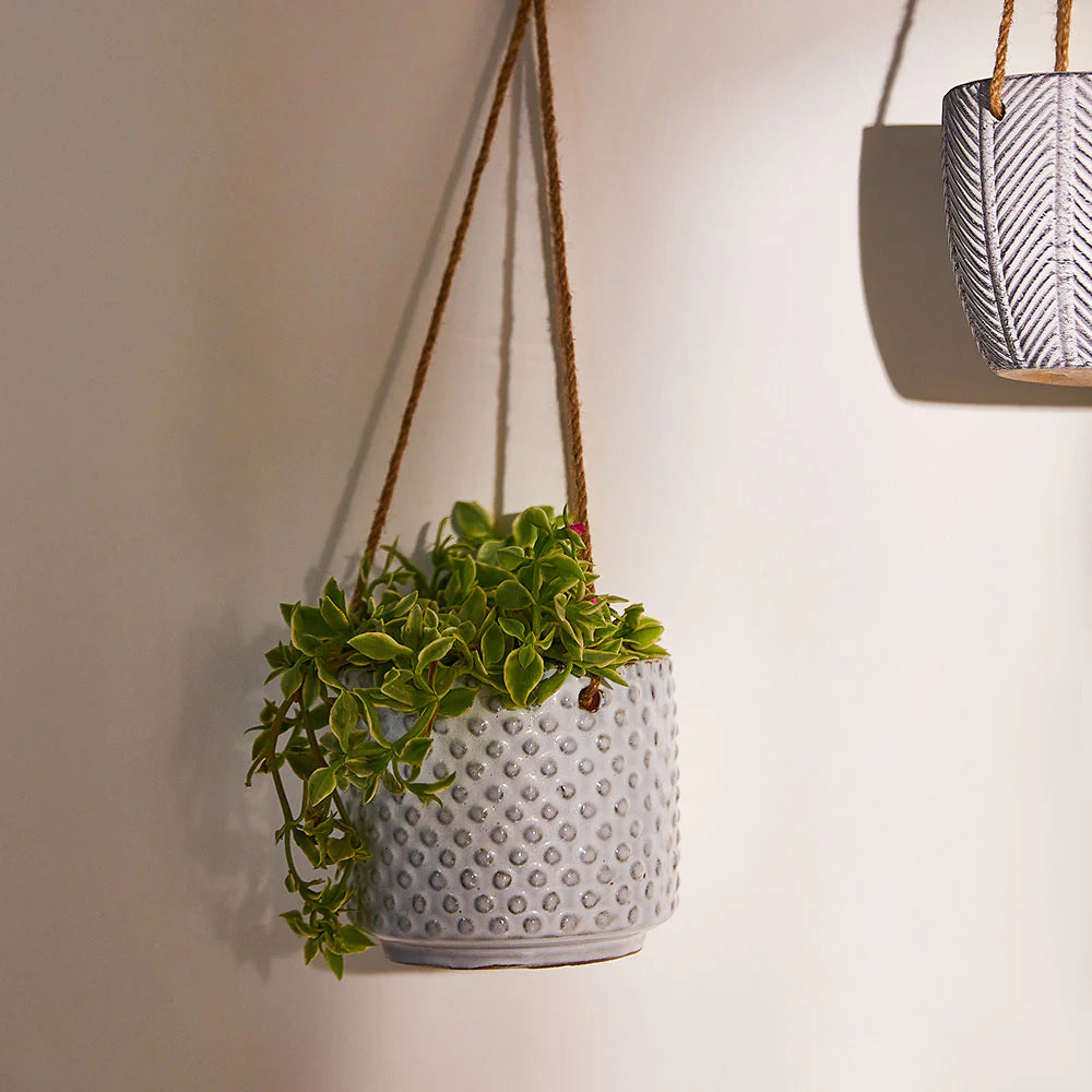 Ceramic Planter — Clover