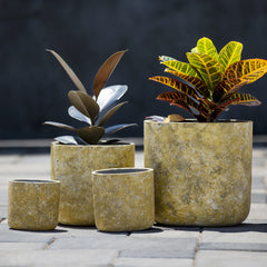 Concrete Planter (Set of 4)