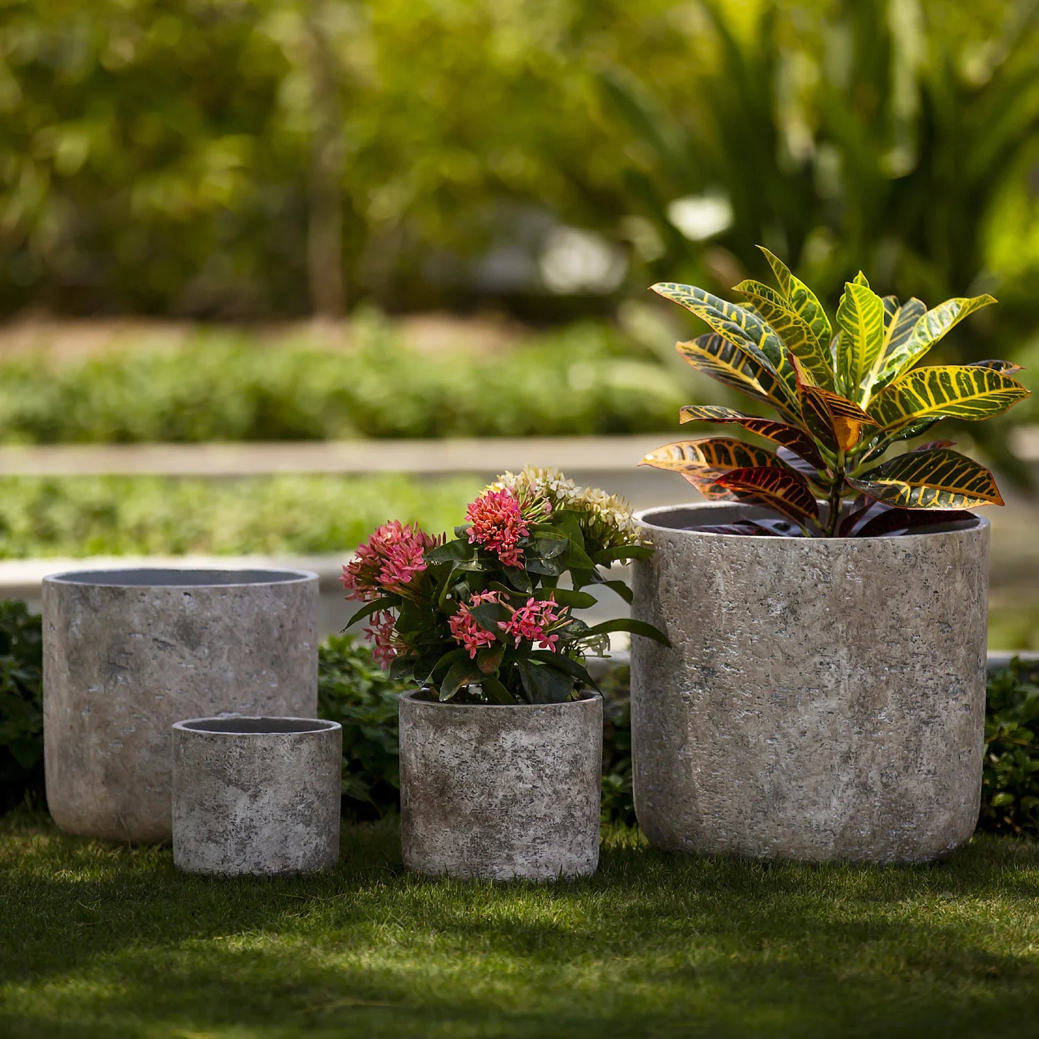 Concrete Planter (Set of 4)