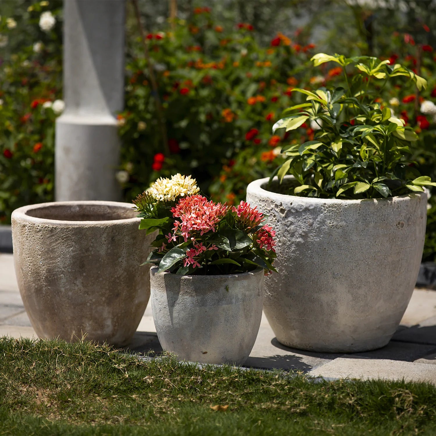 Ceramic Planter (Set of 3)