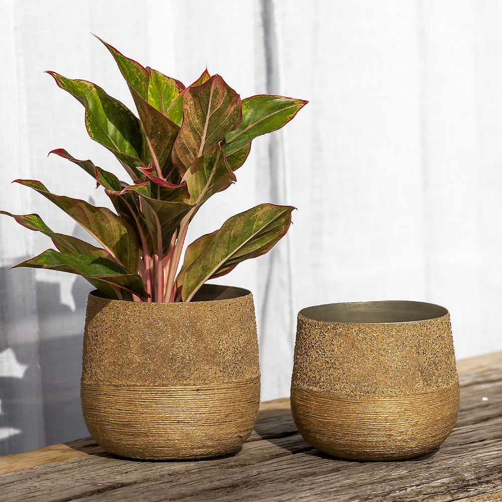 Iron Planter (Set of 2)— Earnest