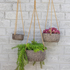 Terracotta Hanging Planter (Set of 3) — Olive